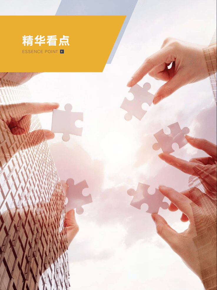 中智咨询：2022国际标杆企业高管薪酬研究报告-精华看点.pdf 第5页