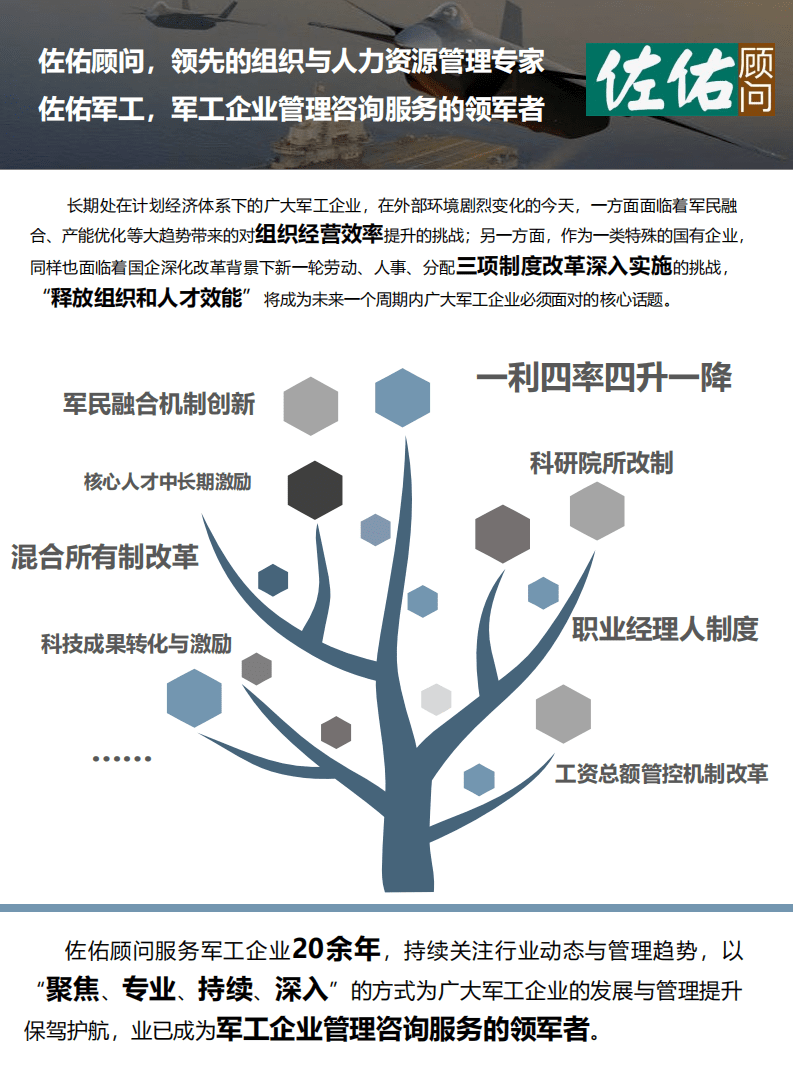佐佑顾问：2020军工企业管理趋势跟踪与研究报告.pdf 第2页