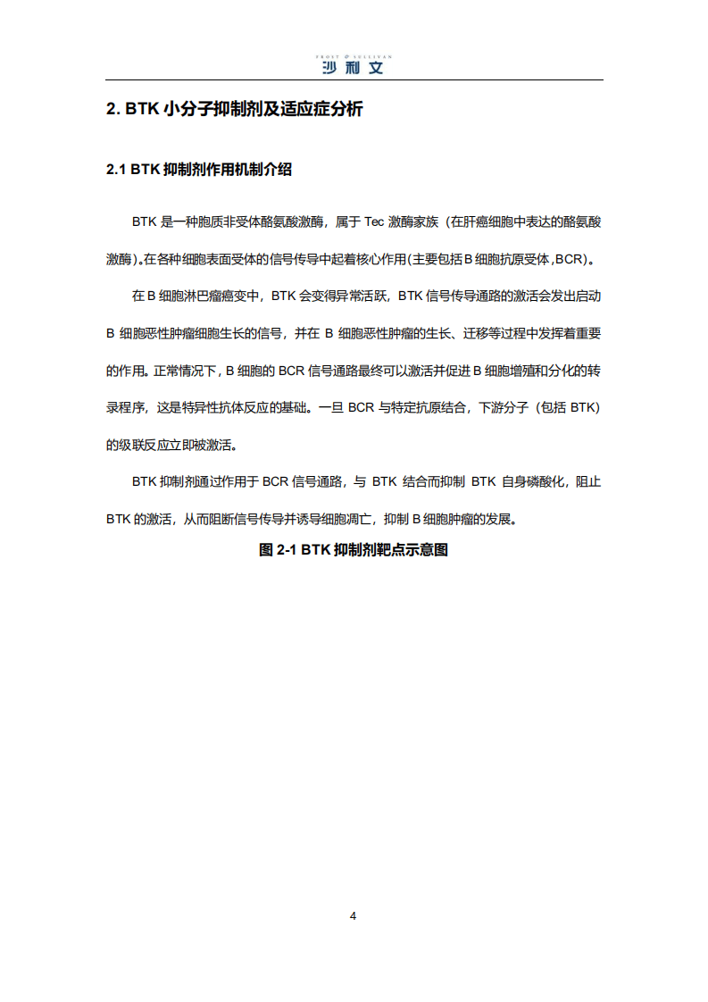 沙利文：BTK小分子靶向药物市场研究报告（2021）.pdf 第4页