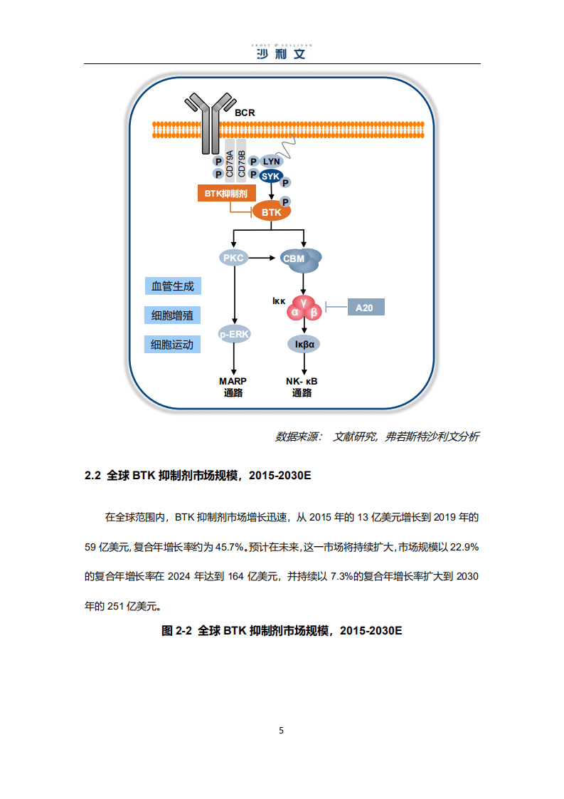 沙利文：BTK小分子靶向药物市场研究报告（2021）.pdf 第5页