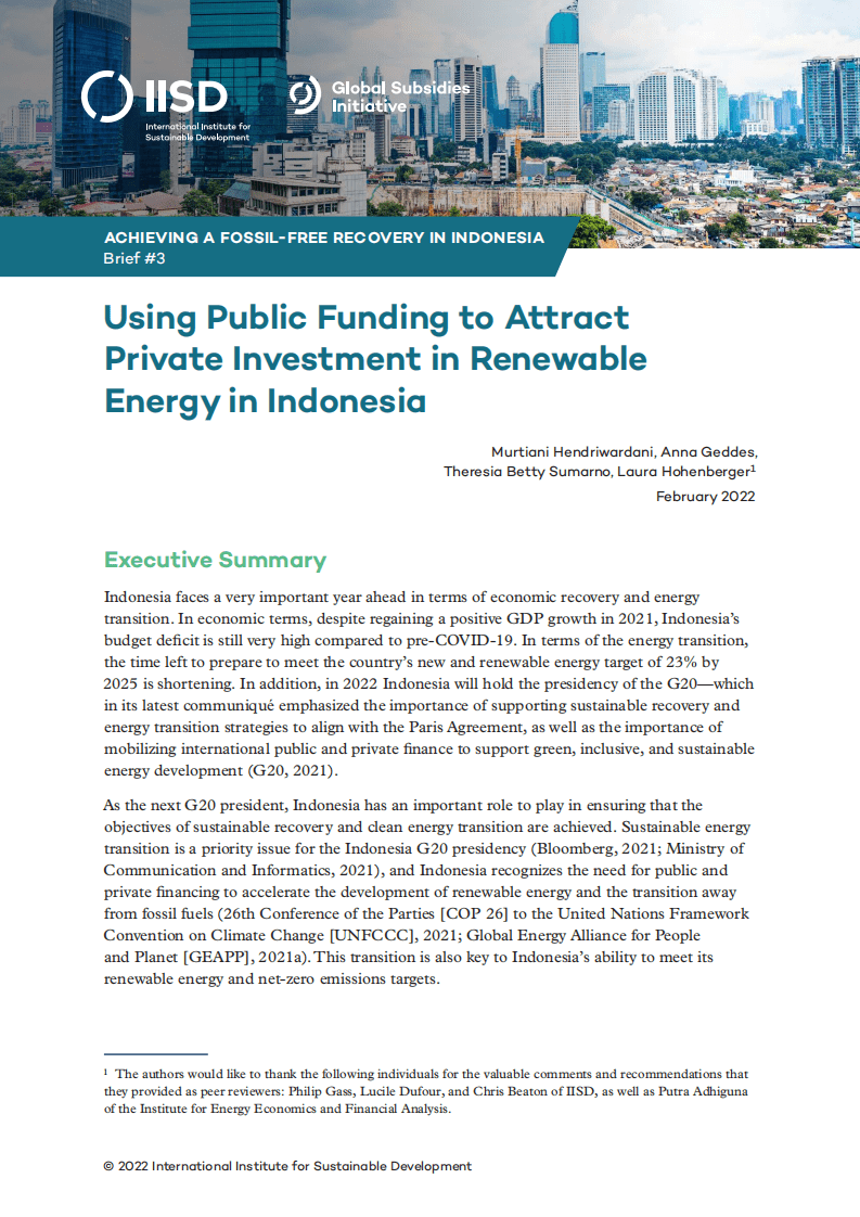 国际可持续发展研究所：利用公共资金吸引印尼可再生能源的私人投资（英文版）.pdf 第1页