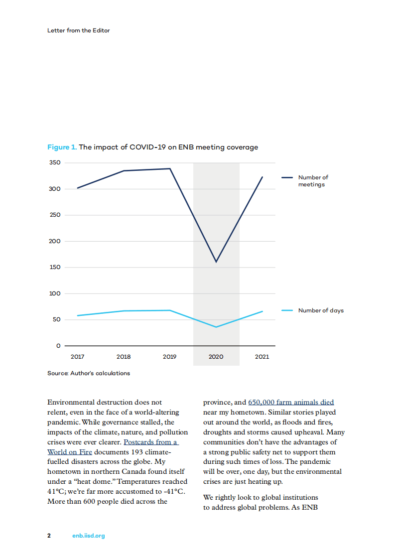 国际可持续发展研究所：全球环境治理状况2021（英文版）.pdf 第6页