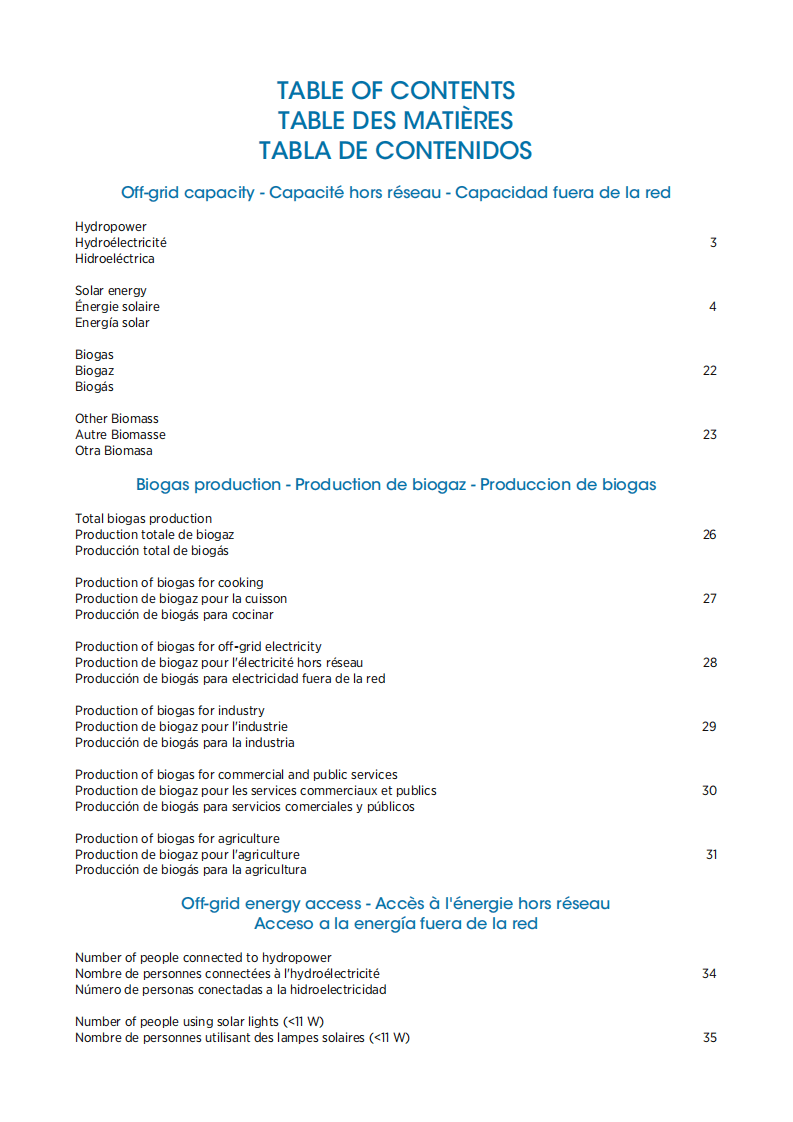 国际可再生资源机构：非电网可再生能源统计2021（英文版）.pdf 第3页