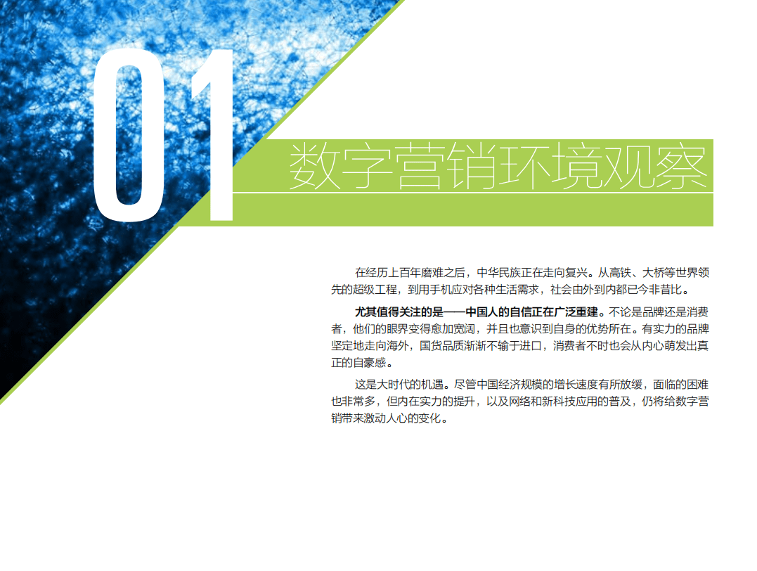 华扬：2017中国数字营销行动报告.pdf 第5页