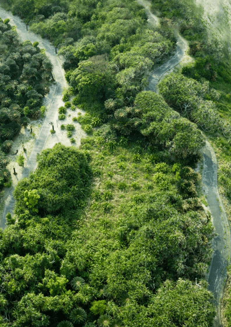 埃森哲：内容：营销的生命源泉 &mdash;&mdash;亚太区洞察报告.pdf 第3页