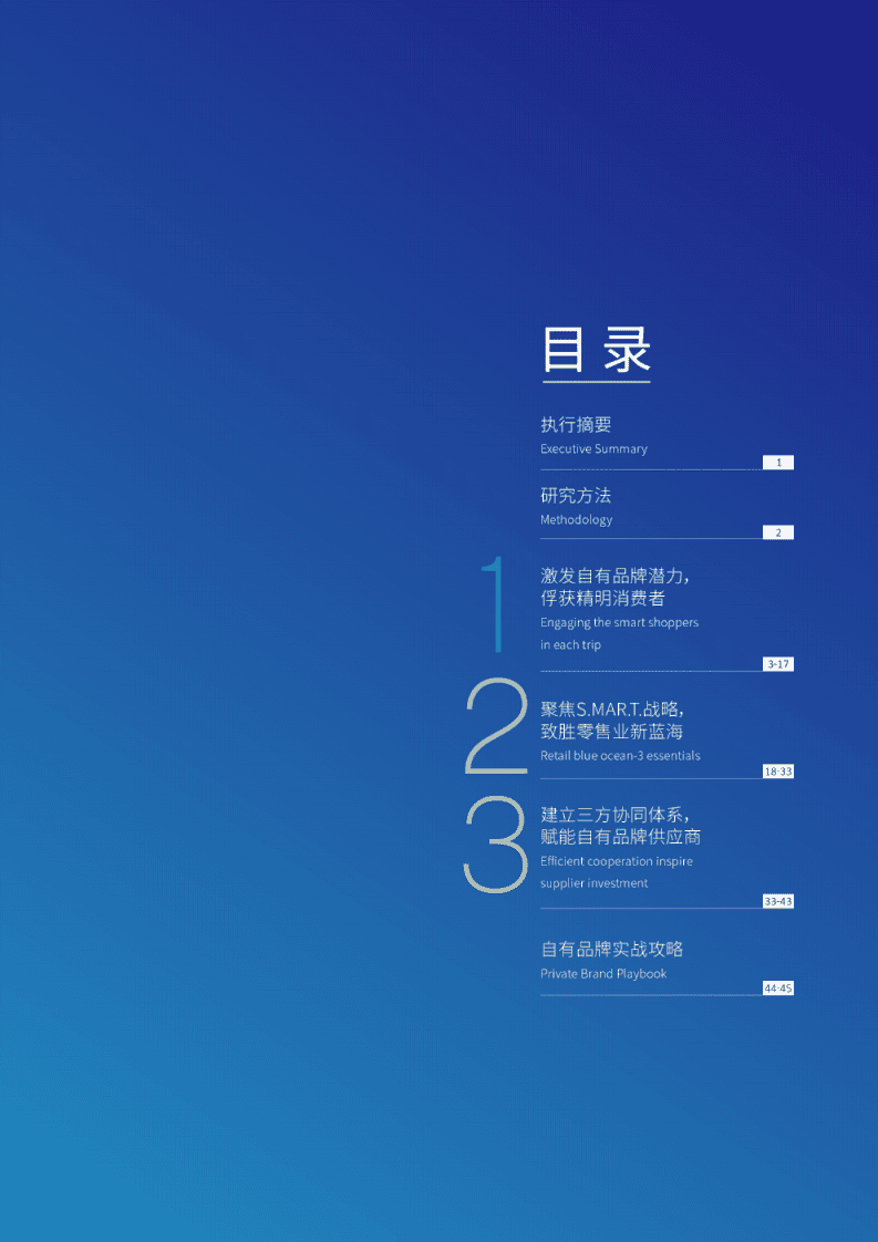 达曼：2020中国自有品牌行业发展白皮书.pdf 第2页