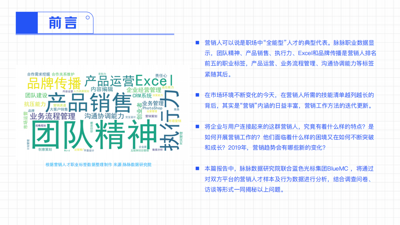 脉脉&BlueMC：2019中国营销人洞察报告.pdf 第2页