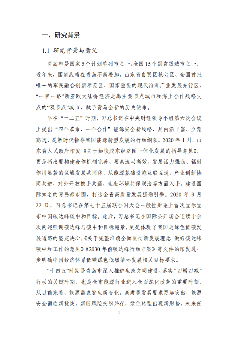 能源基金会：2022青岛市“十四五”能源发展战略研究报告.pdf 第6页