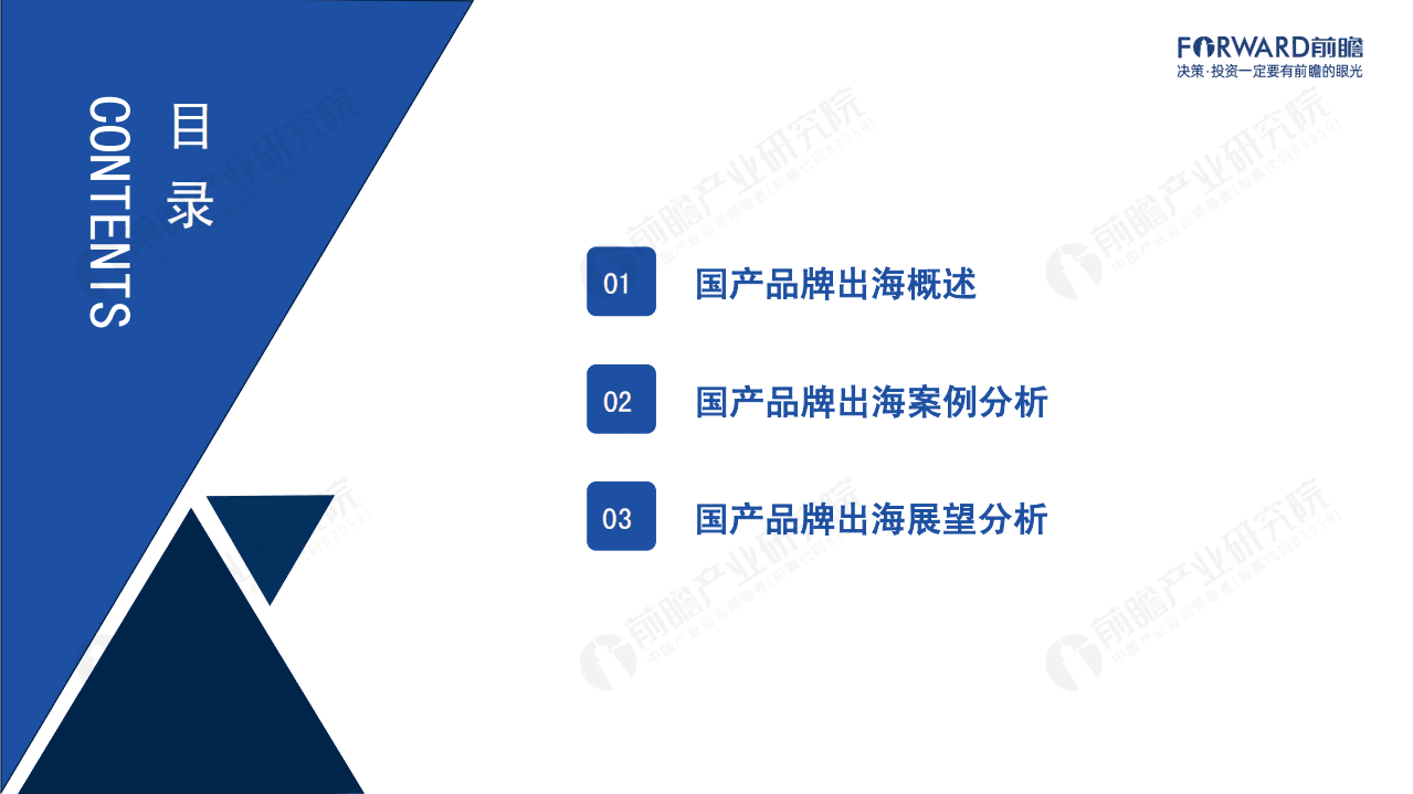 前瞻：“乘风破浪”的国产品牌.pdf 第2页