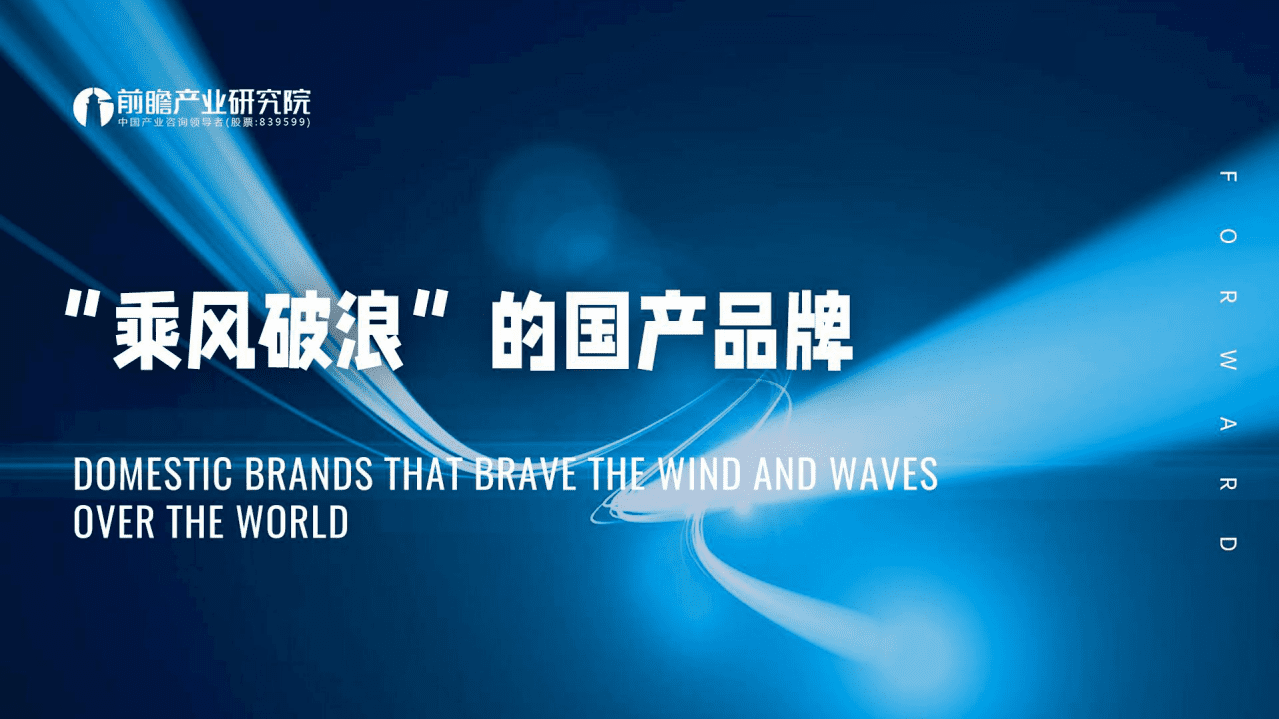 前瞻：“乘风破浪”的国产品牌.pdf 第1页