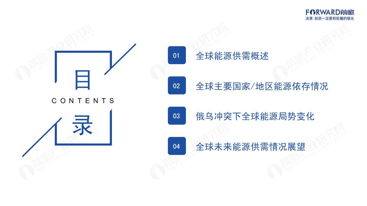 前瞻：2022年全球能源依存格局及趋势报告.pdf 第2页