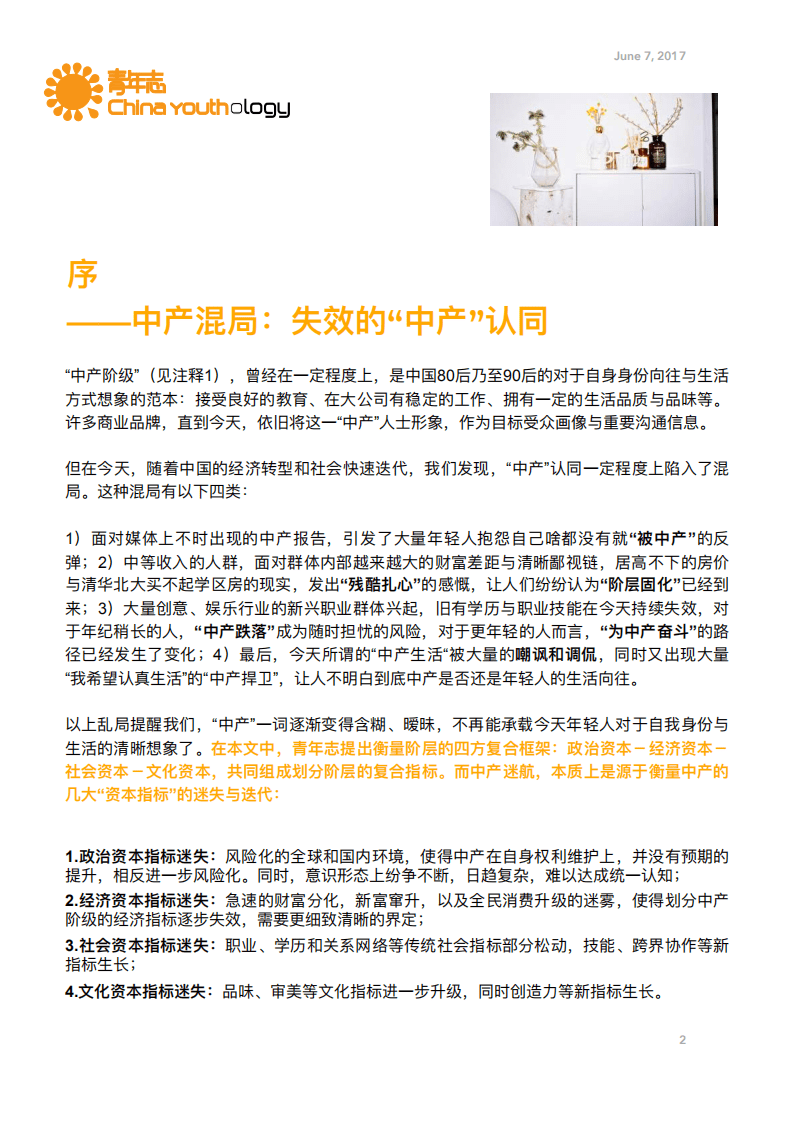 青年志：2017年轻人文化趋势报告.pdf 第3页