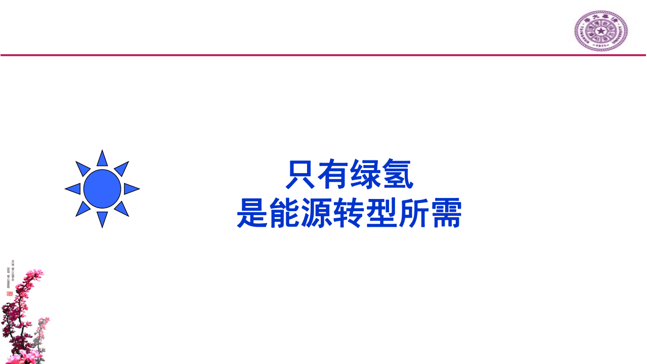 清华大学：欧洲氢能考察与中国氢能发展思考（2020）.pdf 第2页