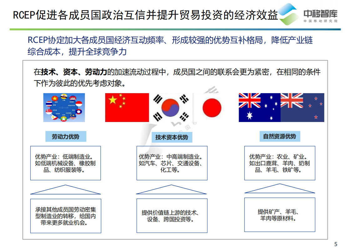 中移智库：区域全面经济伙伴关系协定（RCEP）内容解读与信息服务产业机遇分析报告.pdf 第5页