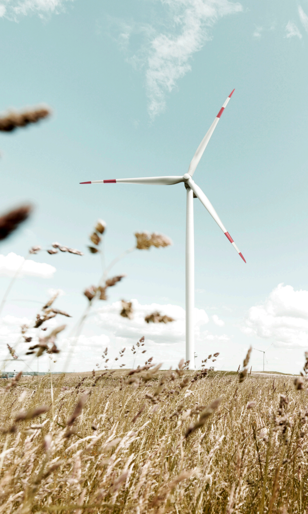 麦肯锡：可持续发展：全球金融业实践与探索（2022中国金融业CEO季刊）.pdf 第2页