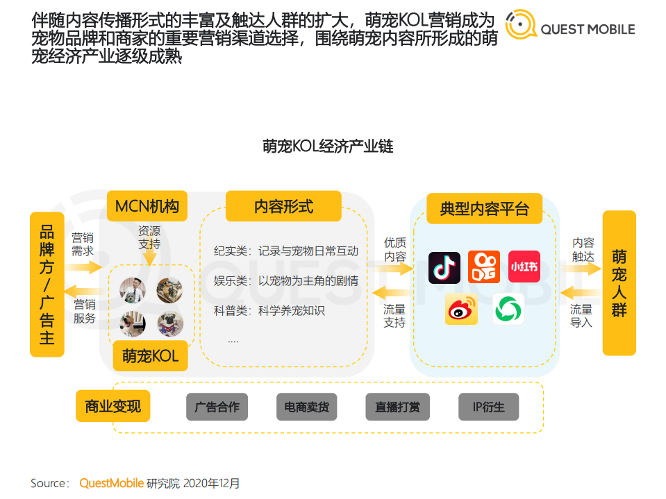 QUEST MOBILE：2020年萌宠经济洞察报告.pdf 第6页