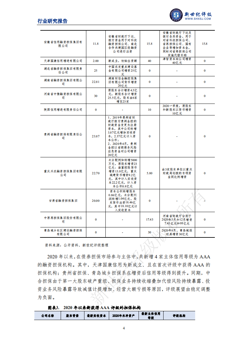 上海新世纪资信：2021年度中国融资担保行业信用回顾与展望.pdf 第4页