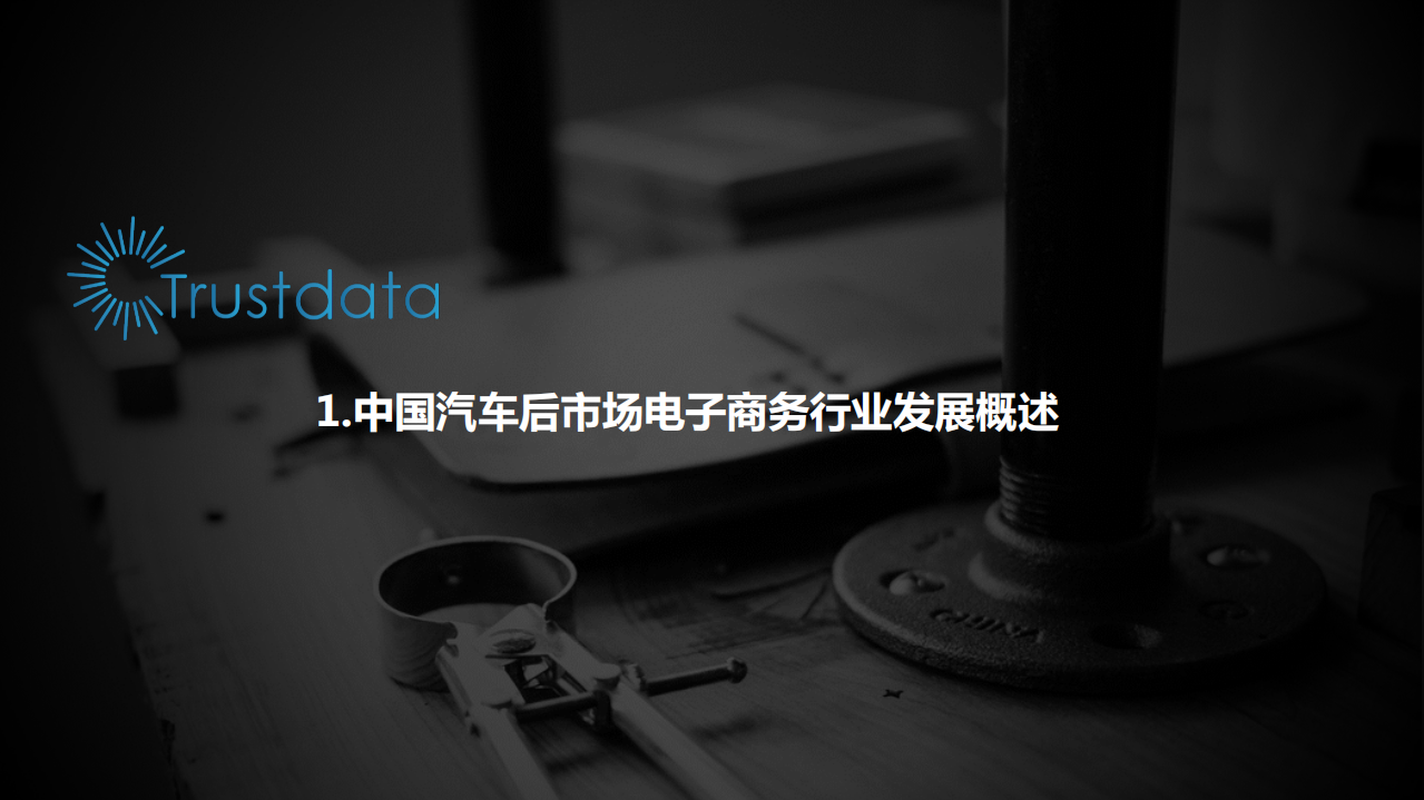 TrustData：2016中国汽车后市场电商行业盘点——养护电商篇.pdf 第3页