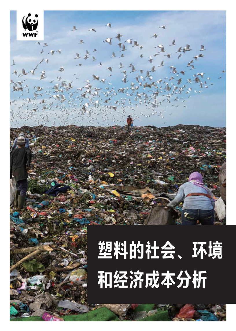 WWF：2021年塑料的社会环境和经济成本分析报告.pdf 第1页