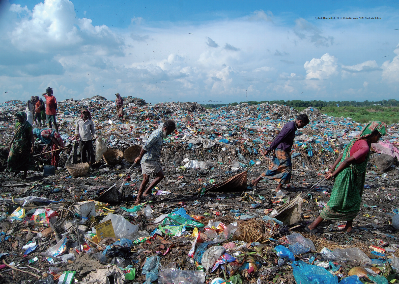 WWF：2021年塑料的社会环境和经济成本分析报告.pdf 第5页