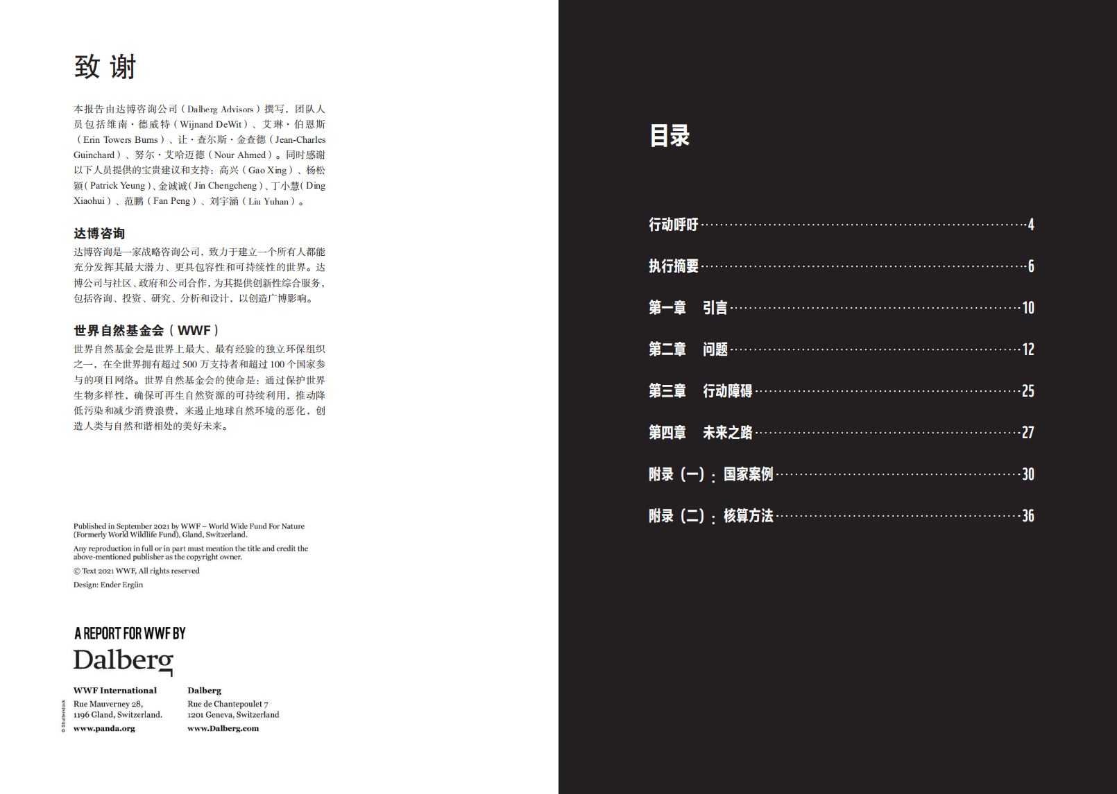 WWF：2021年塑料的社会环境和经济成本分析报告.pdf 第2页