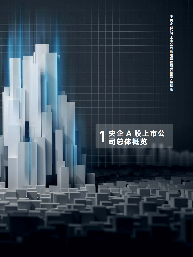 中智咨询：2021央企A股上市公司治理实践与对标观察报告.pdf 第6页