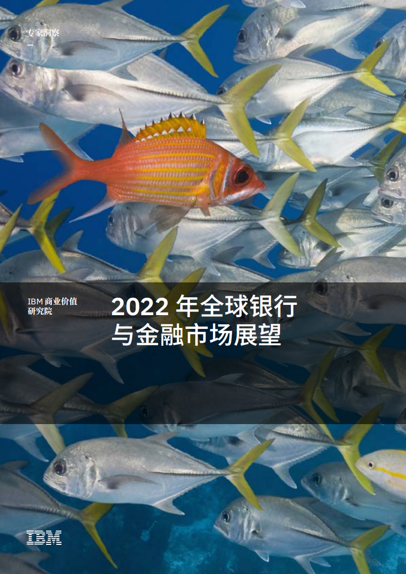 IBM：2022年全球银行与金融市场展望.pdf 第1页
