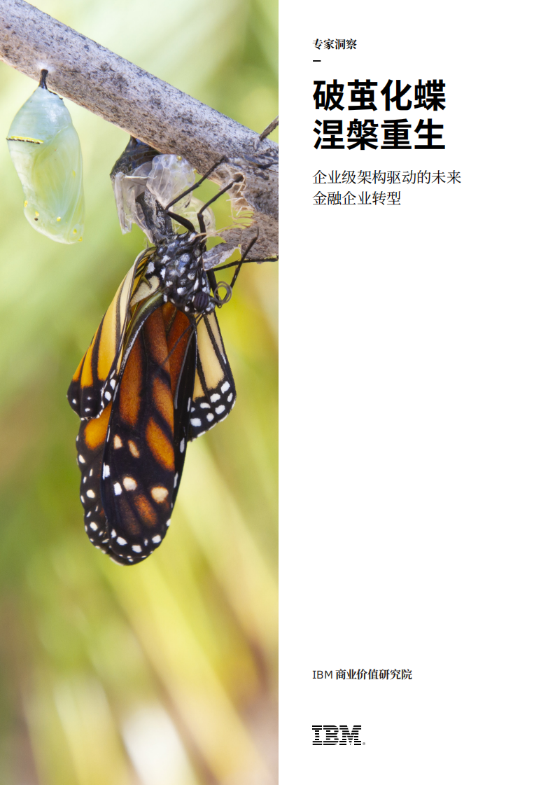 IBM：破茧化蝶，涅槃重生：企业级架构驱动的未来金融企业转型.pdf 第1页