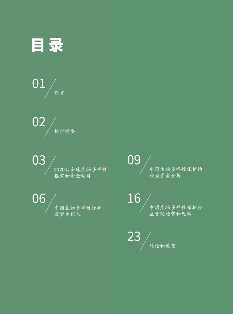 SEE基金会：中国生物多样性公益资助白皮书2021.pdf 第2页