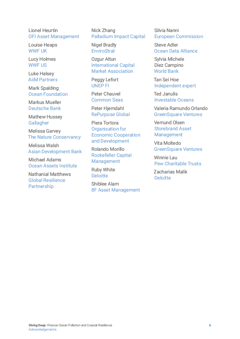 unepfi：潜水-金融、海洋污染和海岸恢复力（英文版）.pdf 第6页