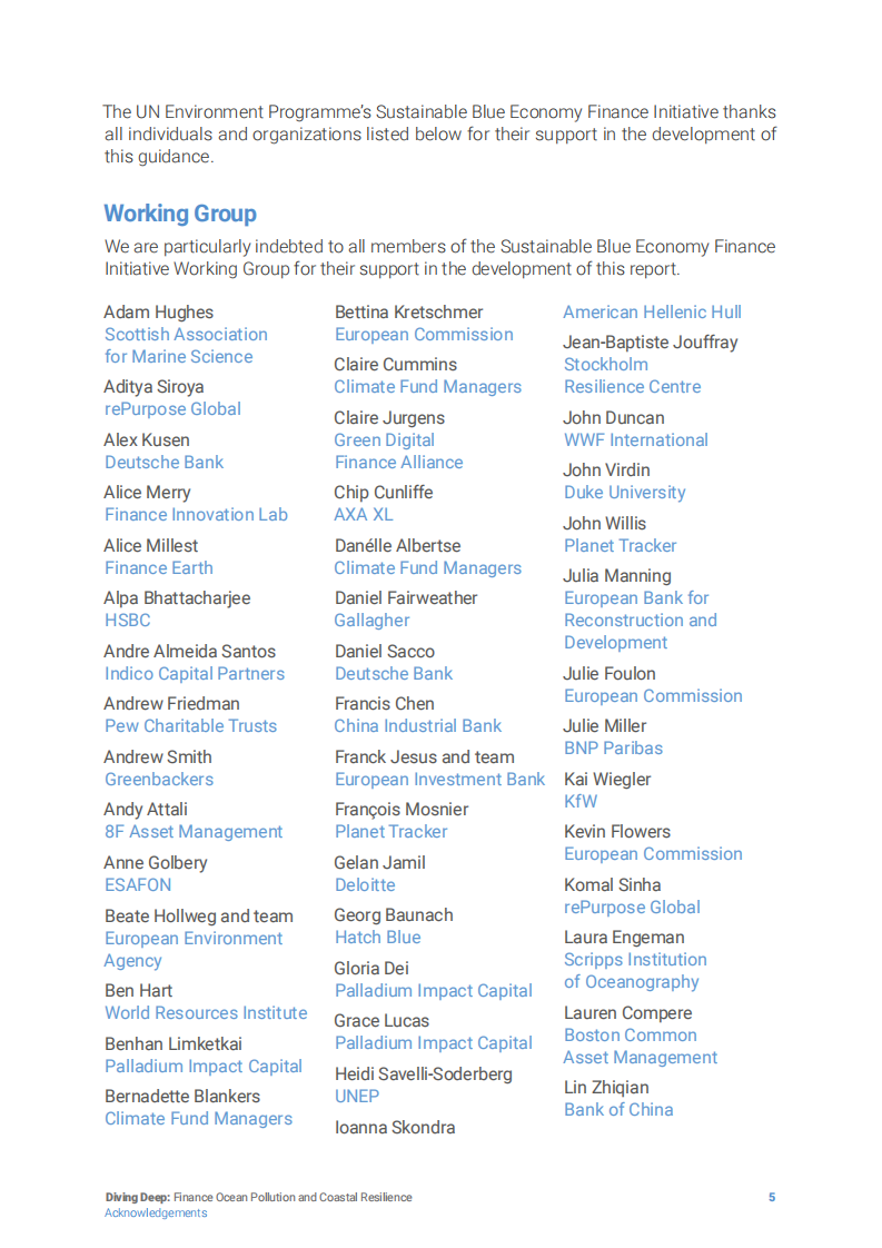 unepfi：潜水-金融、海洋污染和海岸恢复力（英文版）.pdf 第5页