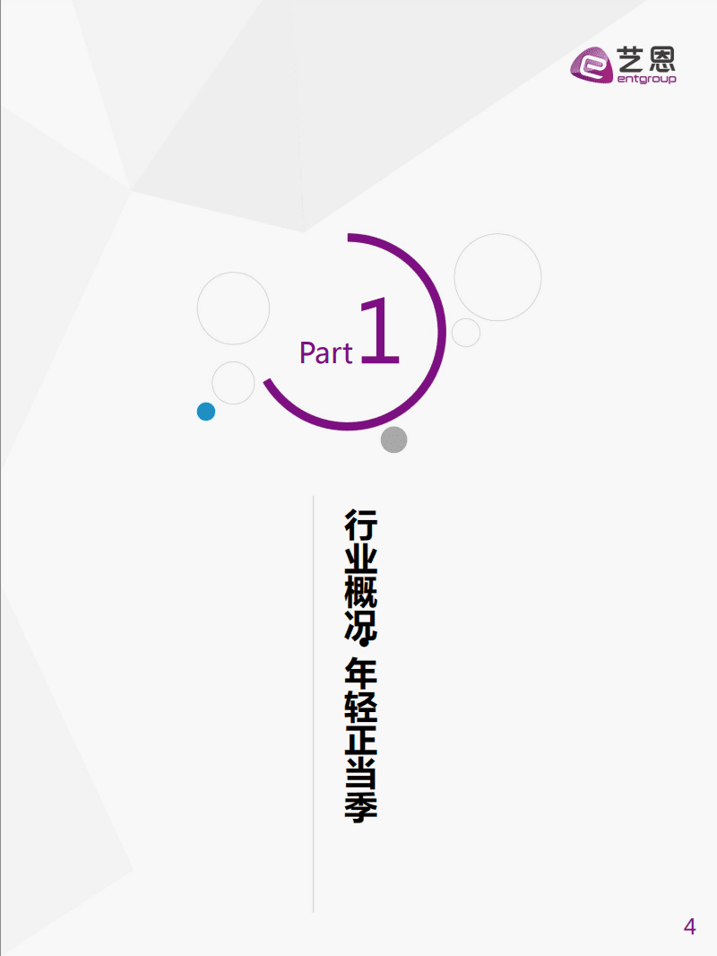 艺恩：2016年年轻用户网络视频&ldquo;看点&rdquo;数据报告.pdf 第4页