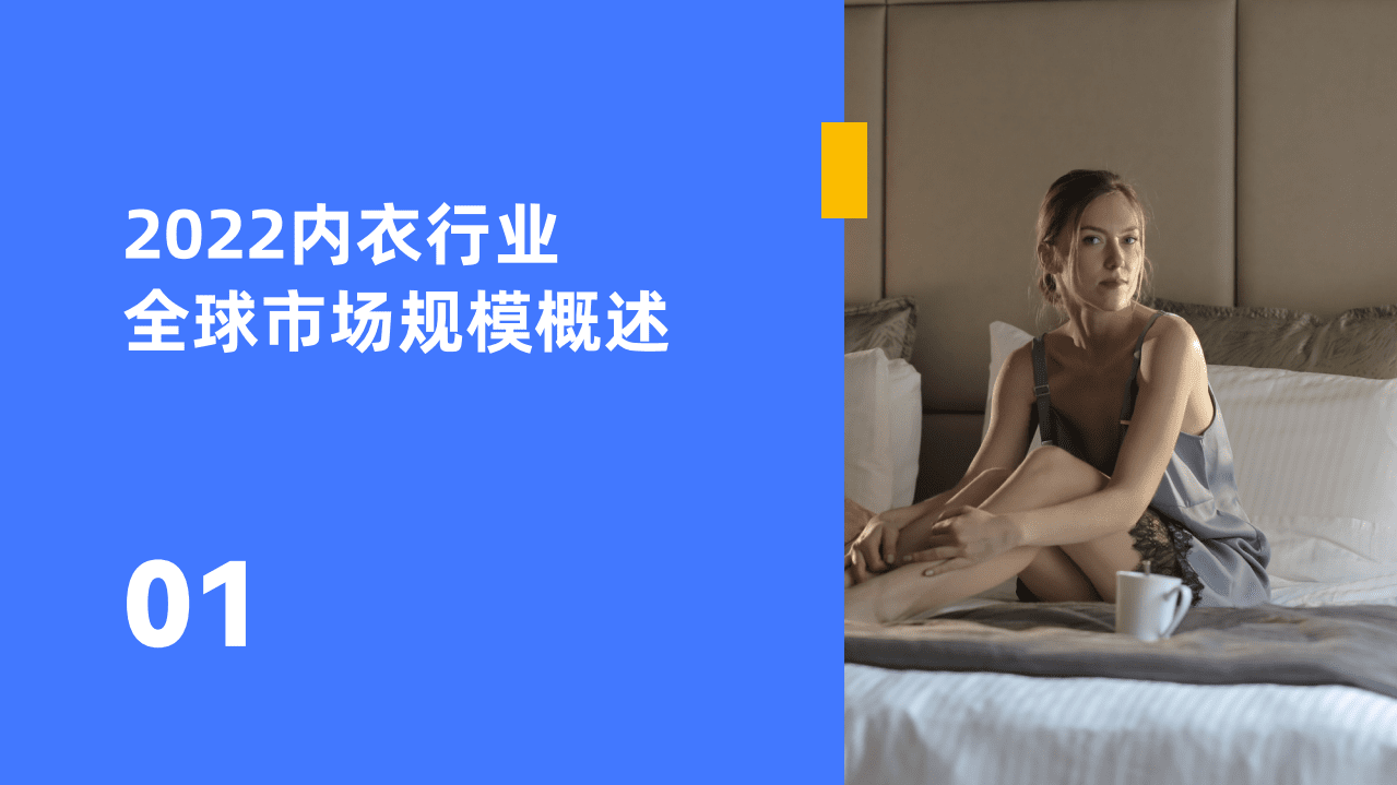 易点天下：2022新洞察-全球女性内衣市场及DTC品牌打法解析报告.pdf 第3页