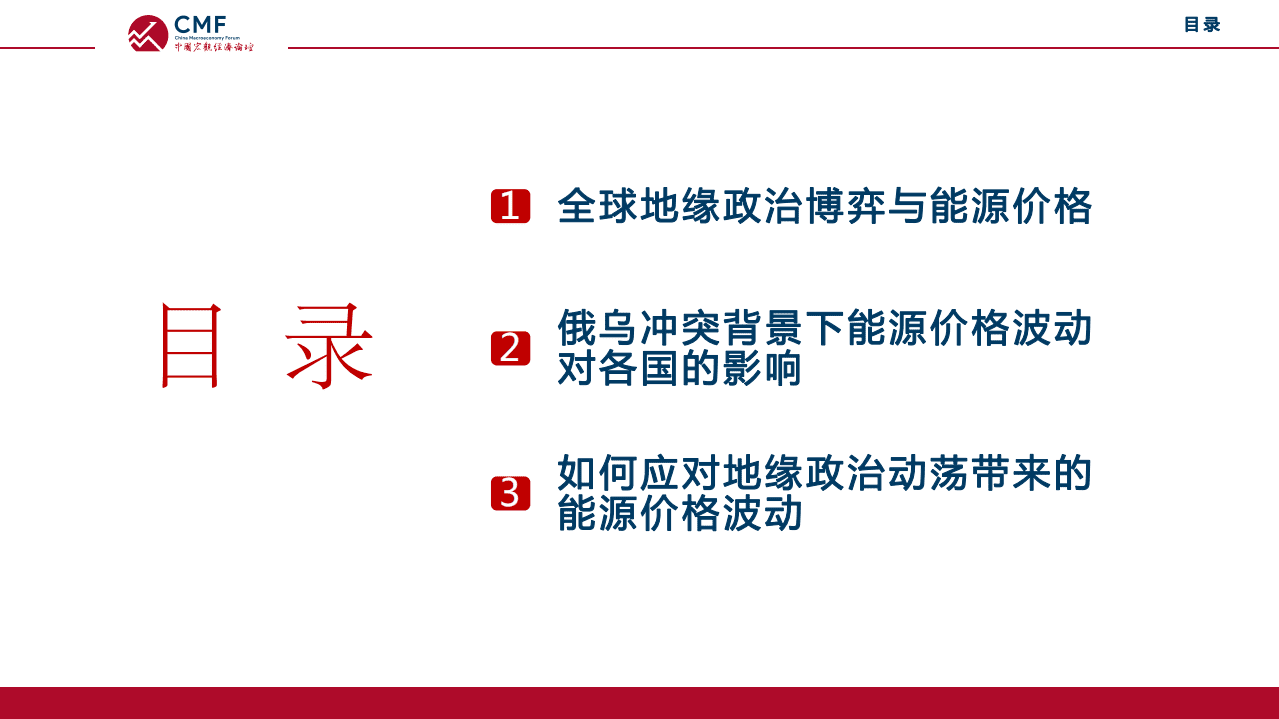 CMF：俄乌冲突和地缘政治动荡冲击下的能源价格（2022）.pdf 第3页