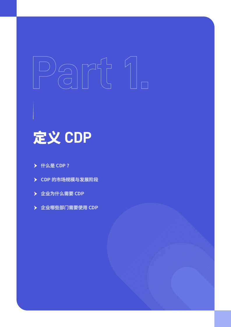 Convertlab：企业业务型CDP与营销技术发展研究报告（附RFP标准指南）.pdf 第5页