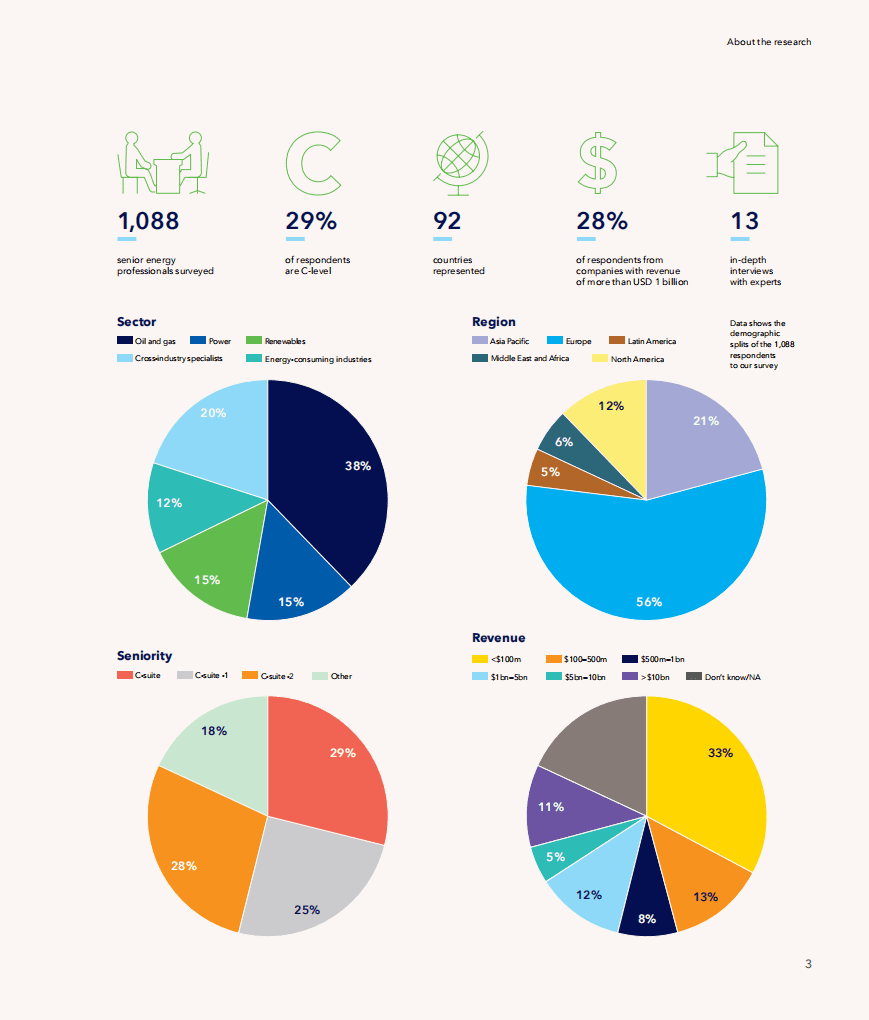DNV：乐观的力量-随着能源转型的加速，管理规模和复杂性（英文版）.pdf 第3页