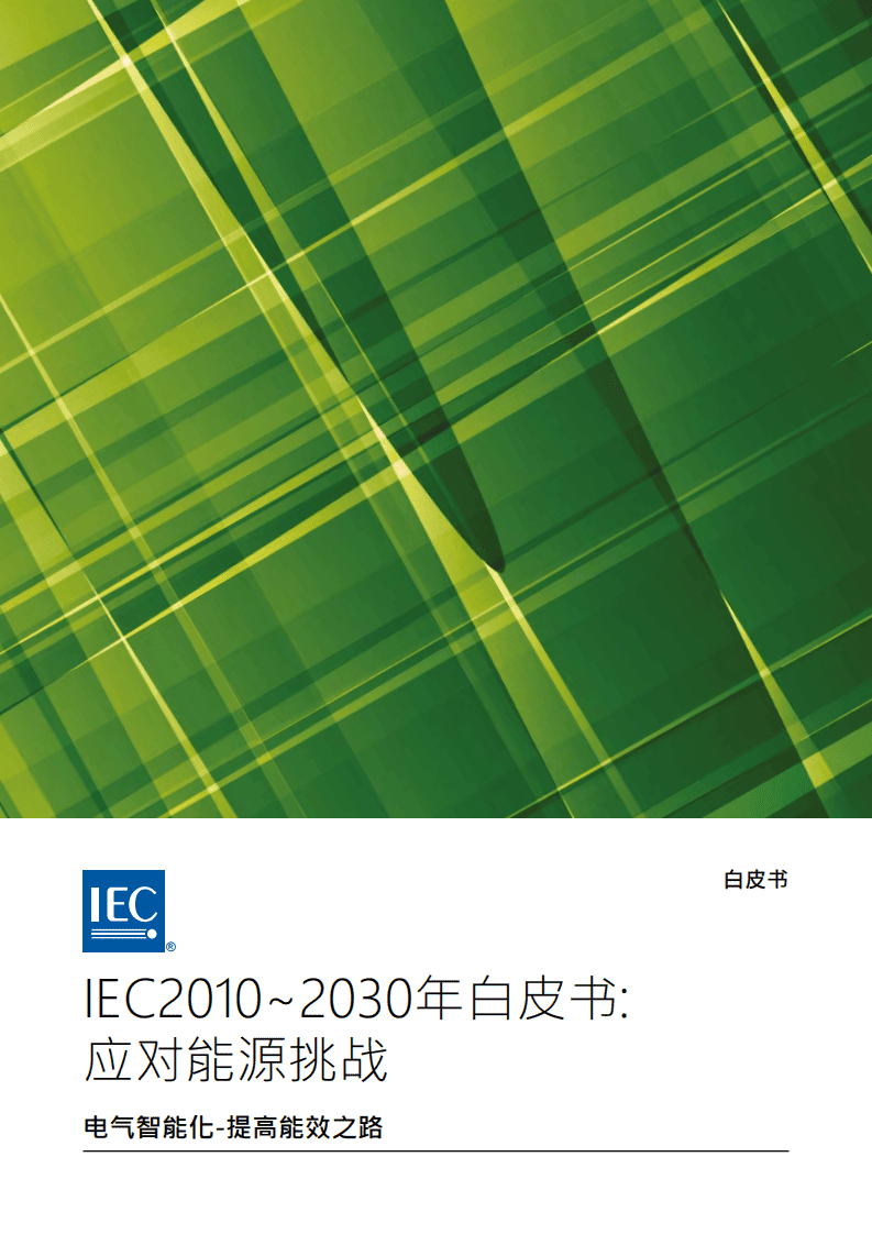 IEC：2010~2030年白皮书—应对能源挑战.pdf 第1页