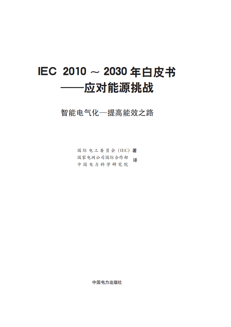 IEC：2010~2030年白皮书—应对能源挑战.pdf 第2页