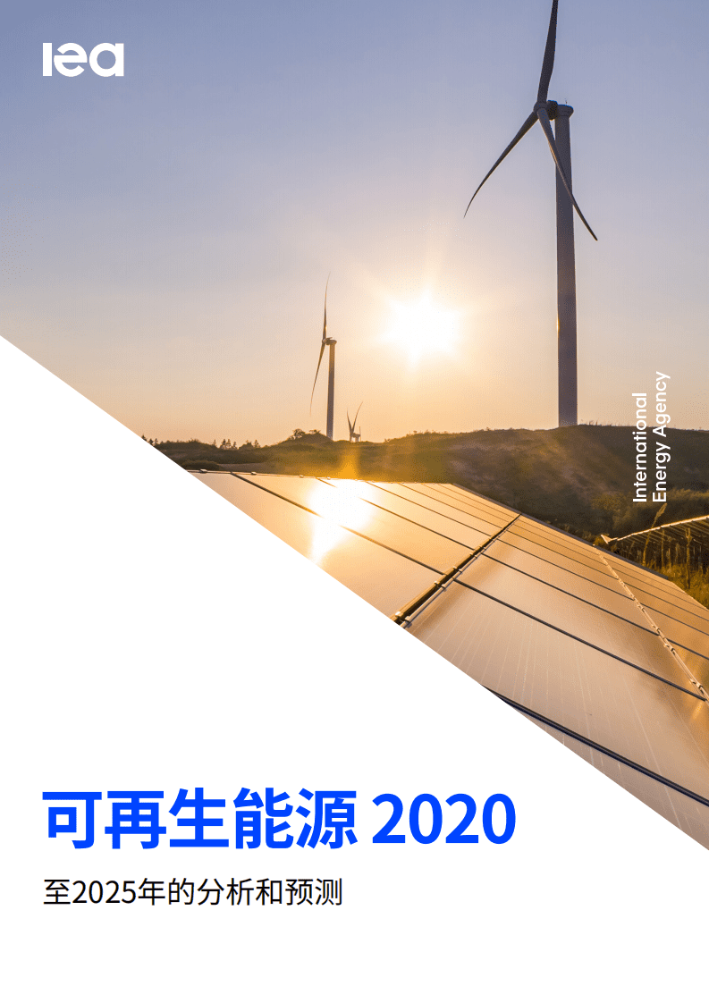 IEA国际能源署：2020年可再生能源报告（中文版）.pdf 第1页