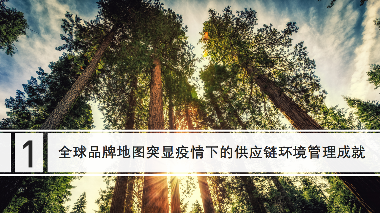 IPE：2020绿色供应链CITI指数年度评价报告.pdf 第3页