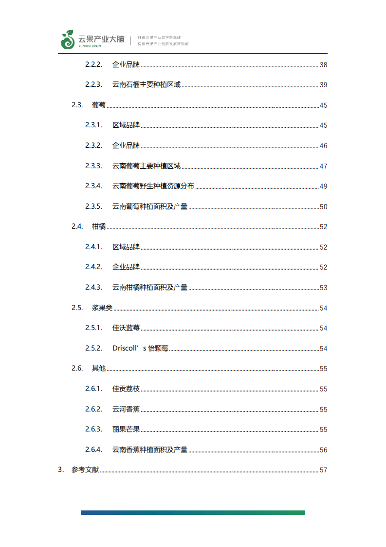 云果：2021年云南省水果品牌建设情况及生产情况报告.pdf 第4页