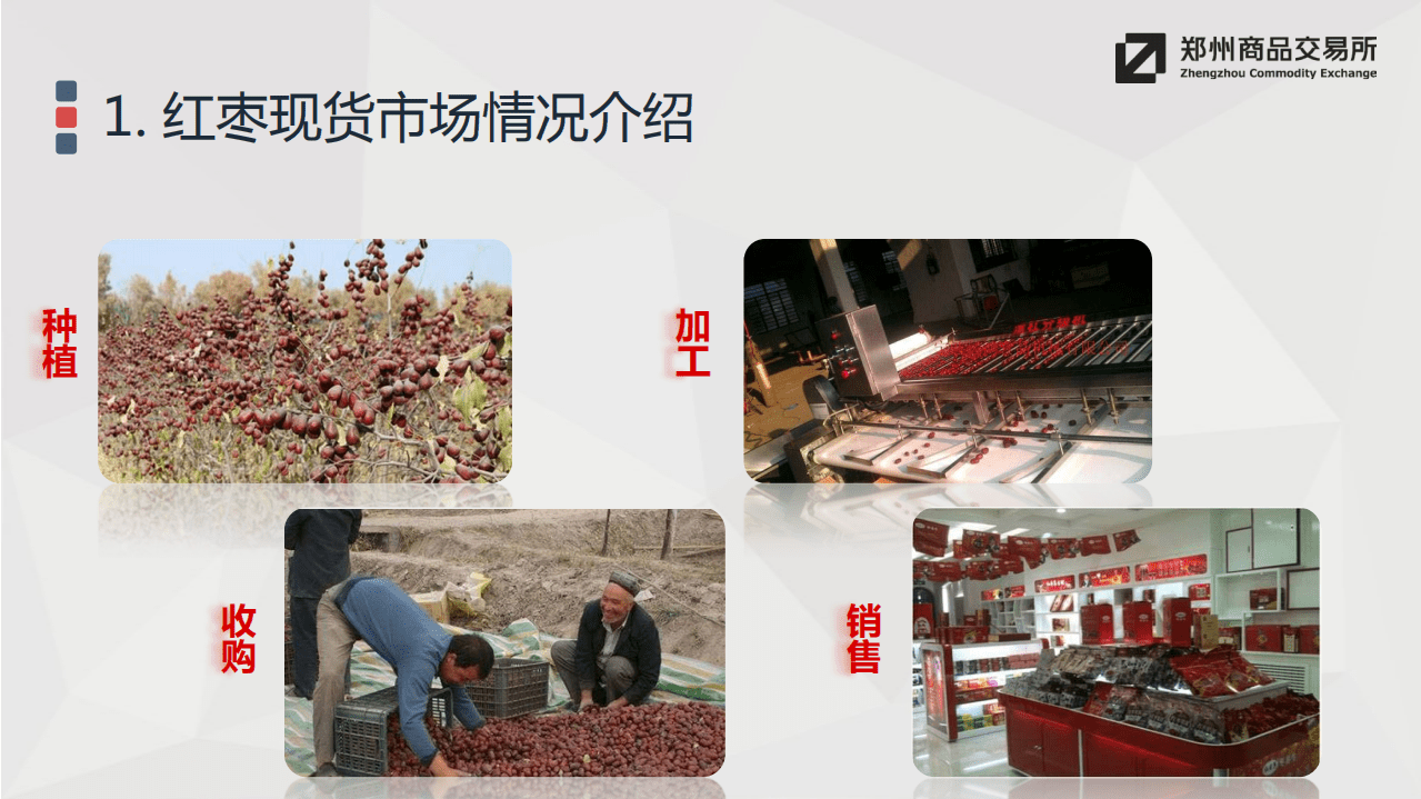 郑州商品交易所：2019年红枣期货介绍报告.pdf 第6页