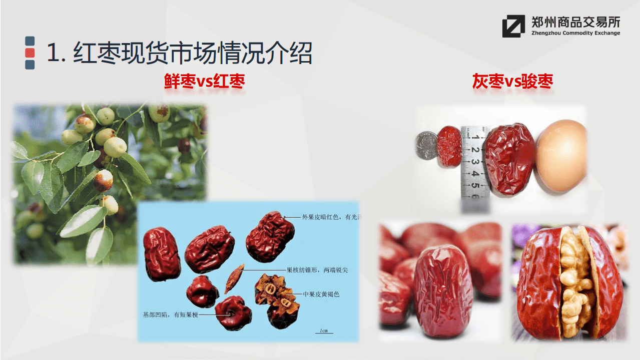 郑州商品交易所：2019年红枣期货介绍报告.pdf 第4页