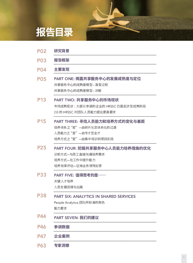 智享会：共享服务中心团队人员能力发展调研报告.pdf 第2页