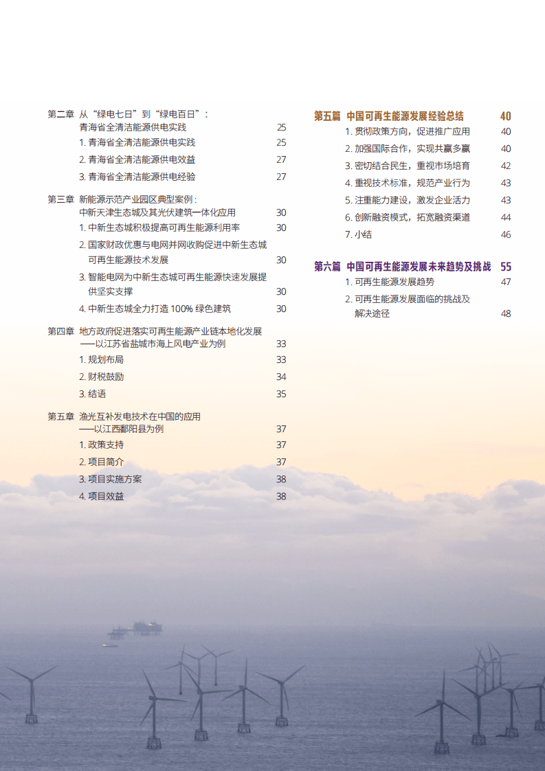 世界自然基金会：中国可再生能源经验总结报告.pdf 第6页