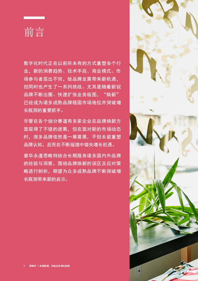 思略特：品牌焕新突破增长瓶颈.pdf 第3页