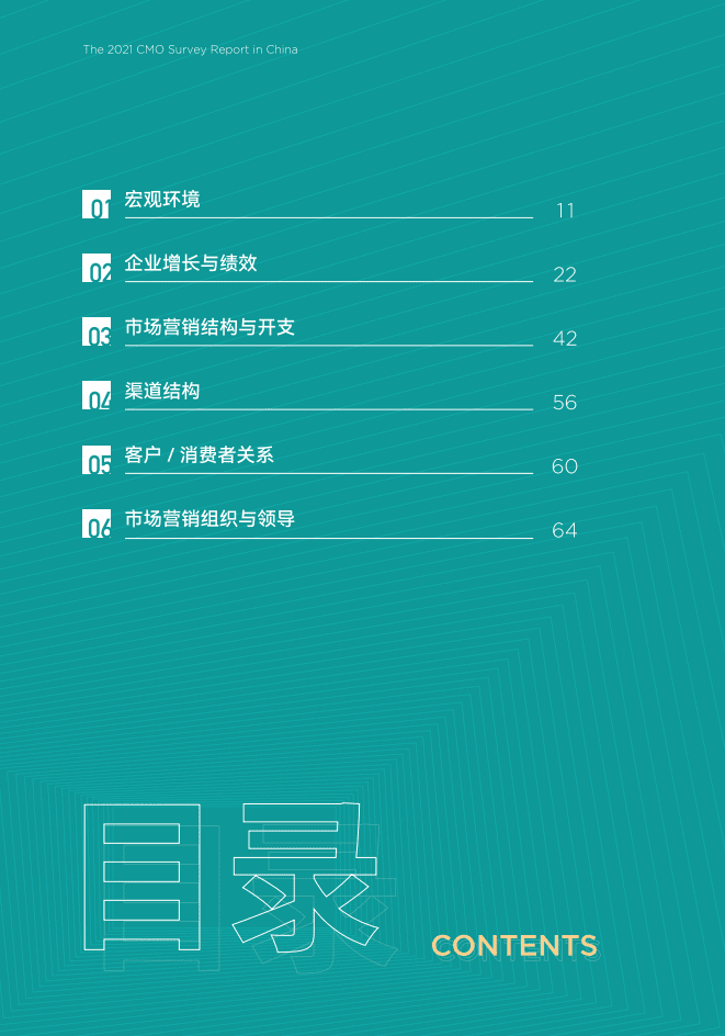 中欧国际工商学院：2021年中国首席营销官（CMO）调查报告.pdf 第5页