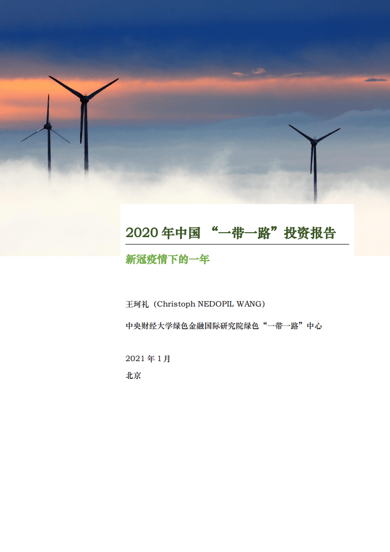中央财经大学：2020年中国 “一带一路”投资报告-新冠疫情下的一年.pdf 第1页