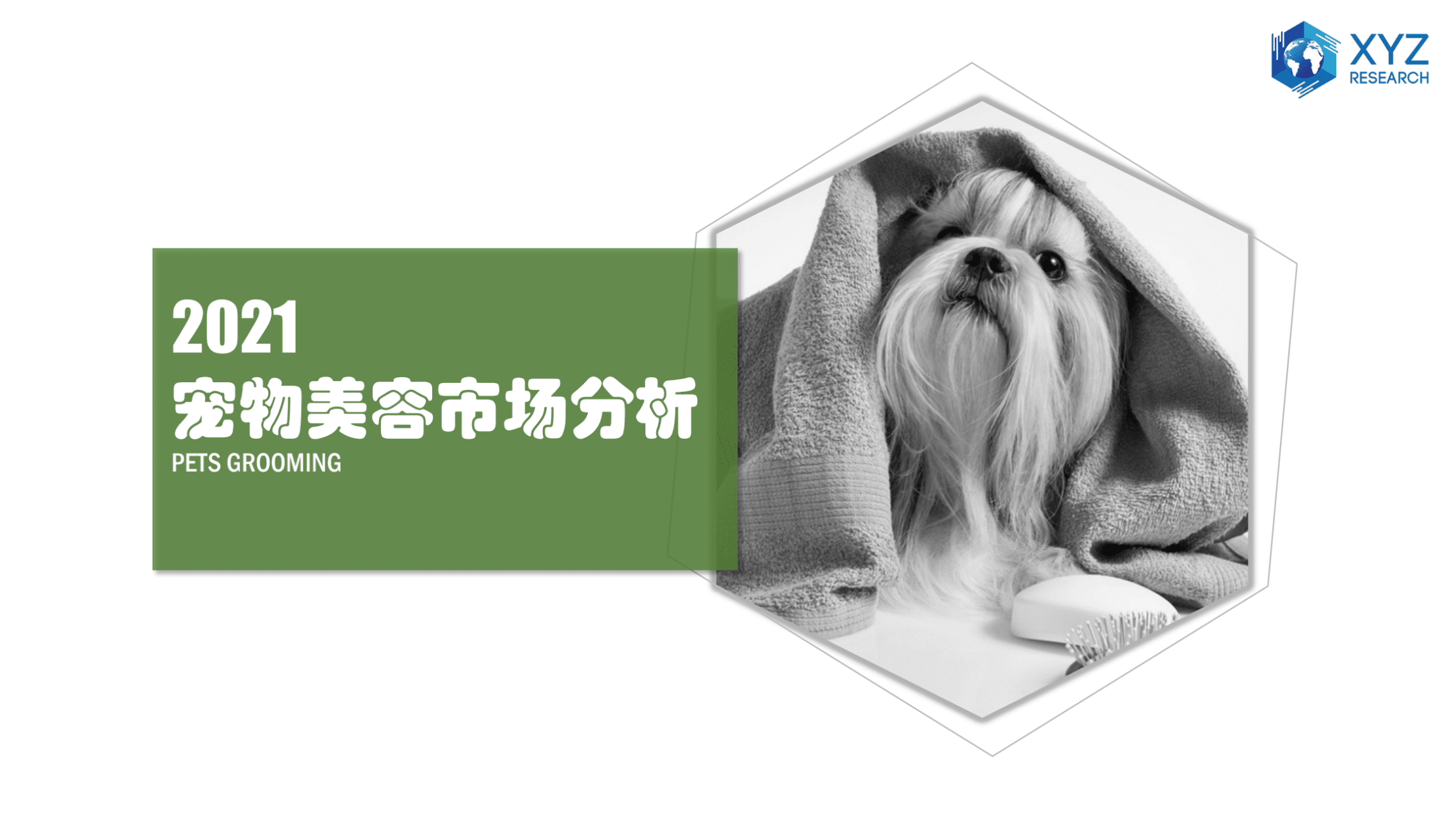 研精毕智信息咨询：2021中国宠物美容市场分析研究报告.pdf 第1页