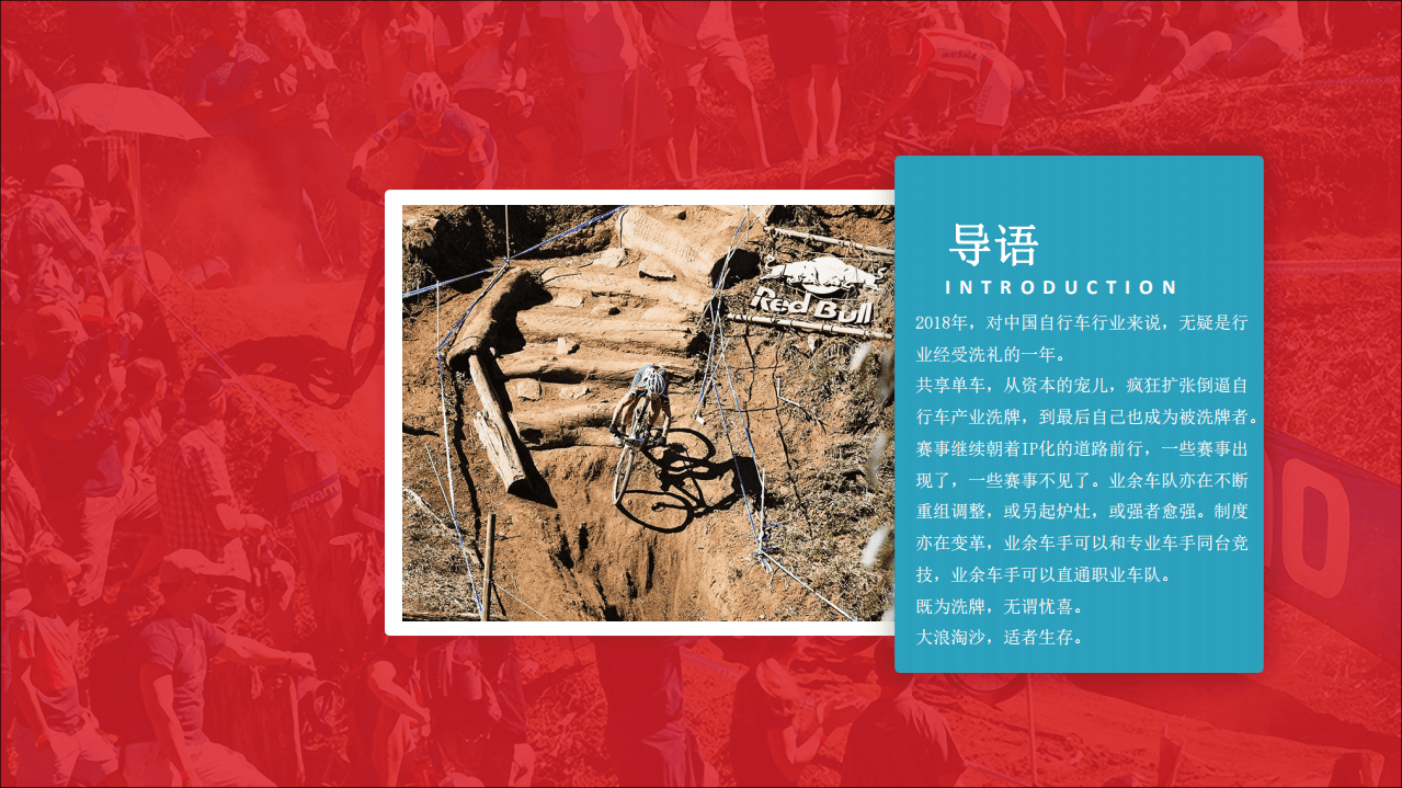 野途：2018年中国自行车运动行业分析报告.pdf 第5页